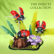 Xbert ZY66108 The Ladybug