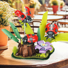 Xbert ZY66108 The Ladybug