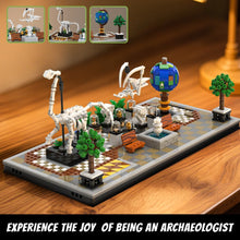 Xbert ZY66128 The Dinosaur Museum