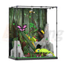 Xbert 66130 The Tropical Rainforest