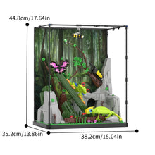 Xbert ZY66130 The Tropical Rainforest