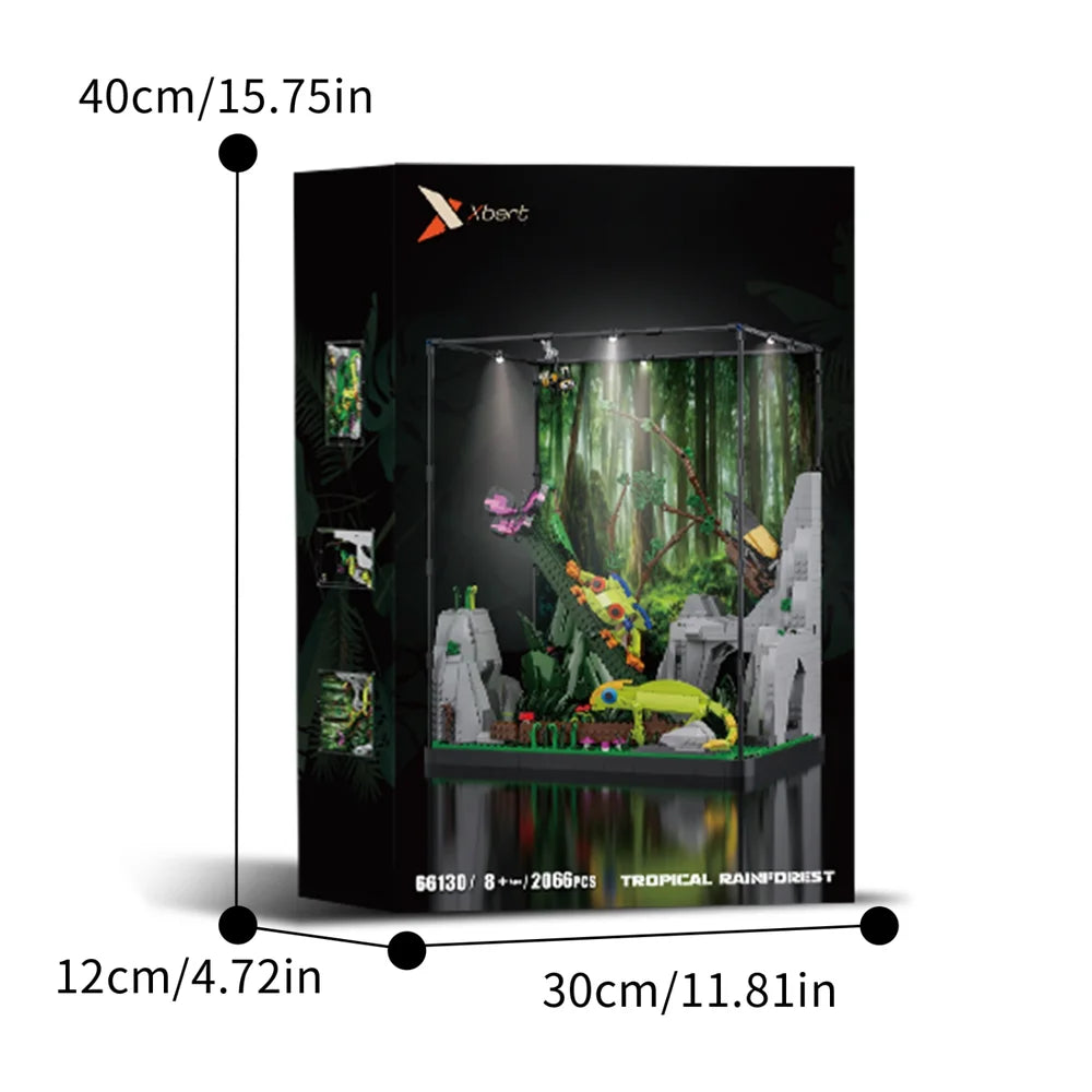 Xbert ZY66130 The Tropical Rainforest