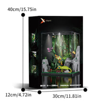 Xbert ZY66130 The Tropical Rainforest
