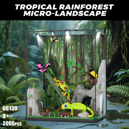 Xbert 66130 The Tropical Rainforest