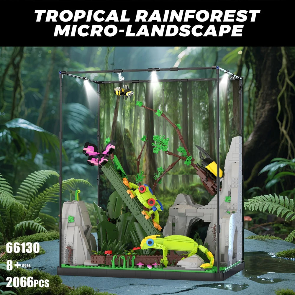 Xbert ZY66130 The Tropical Rainforest