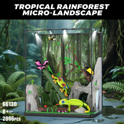 Xbert ZY66130 The Tropical Rainforest