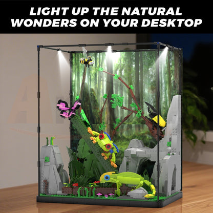 Xbert 66130 The Tropical Rainforest