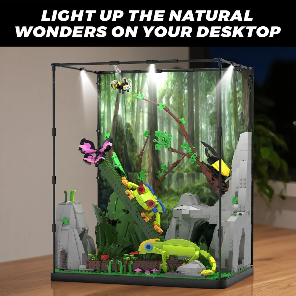 Xbert ZY66130 The Tropical Rainforest