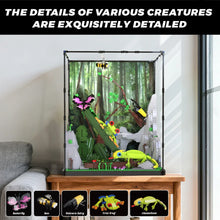 Xbert ZY66130 The Tropical Rainforest