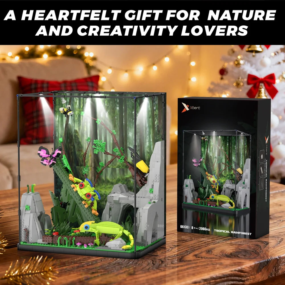 Xbert ZY66130 The Tropical Rainforest