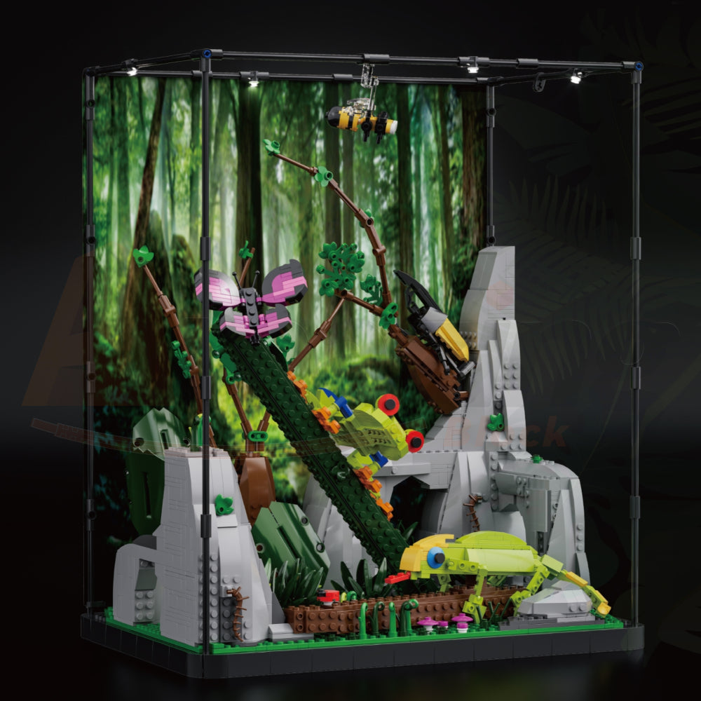 Xbert 66130 The Tropical Rainforest