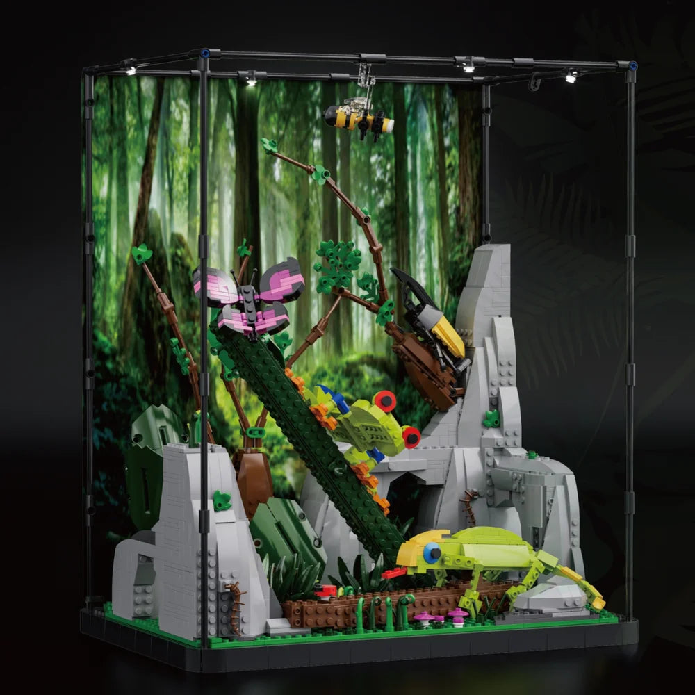 Xbert ZY66130 The Tropical Rainforest