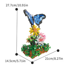 Xbert ZY66164 The Butterfly