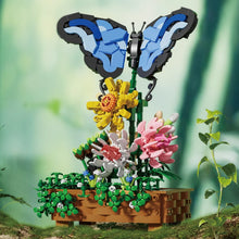 Xbert ZY66164 The Butterfly