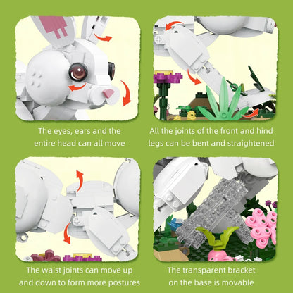 Xbert ZY66255 The White Rabbit