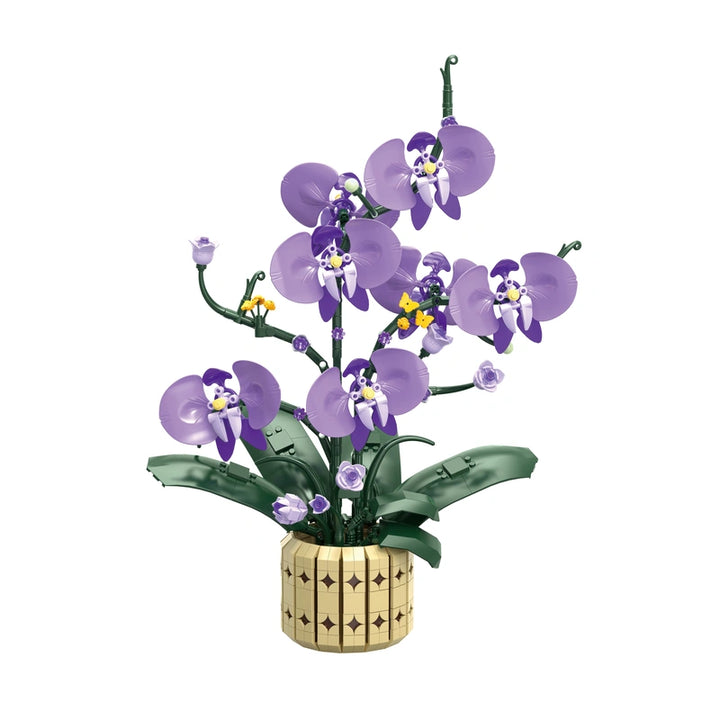 FreeTribe ZYBL-11011 The Moth Orchids building block set